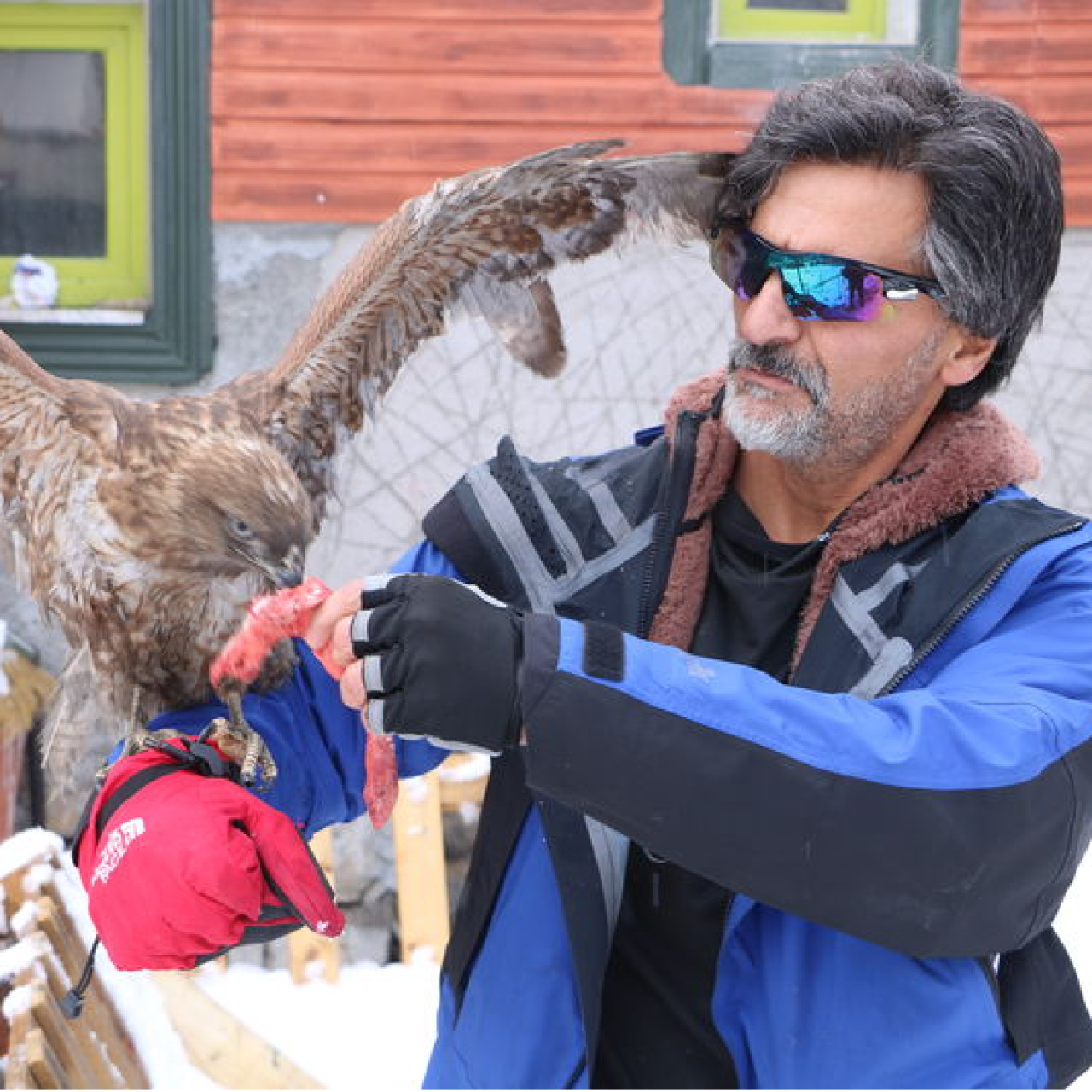 Tedavi edip doğaya bıraktı! Aylar sonra döndü