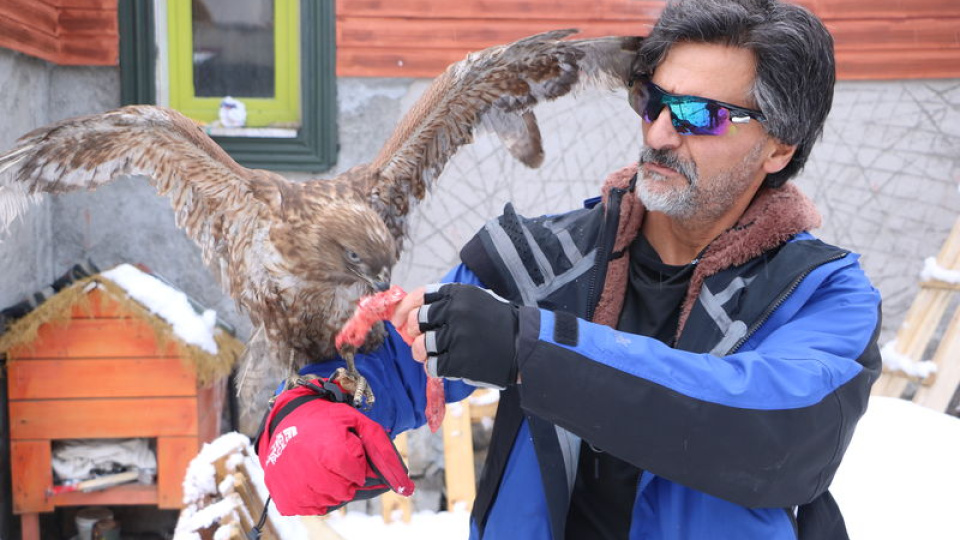 Tedavi edip doğaya bıraktı! Aylar sonra döndü