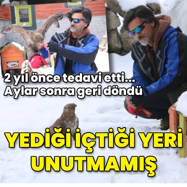 Tedavi edip doğaya bıraktı! Aylar sonra döndü