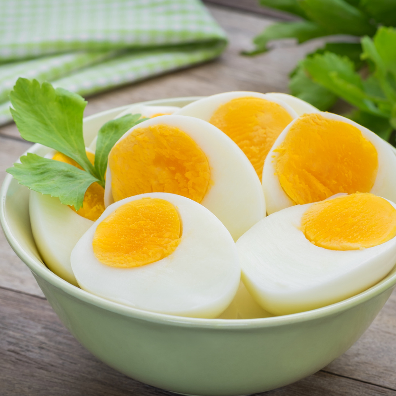 Yumurta protein miktarı