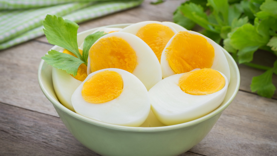 Yumurta protein miktarı