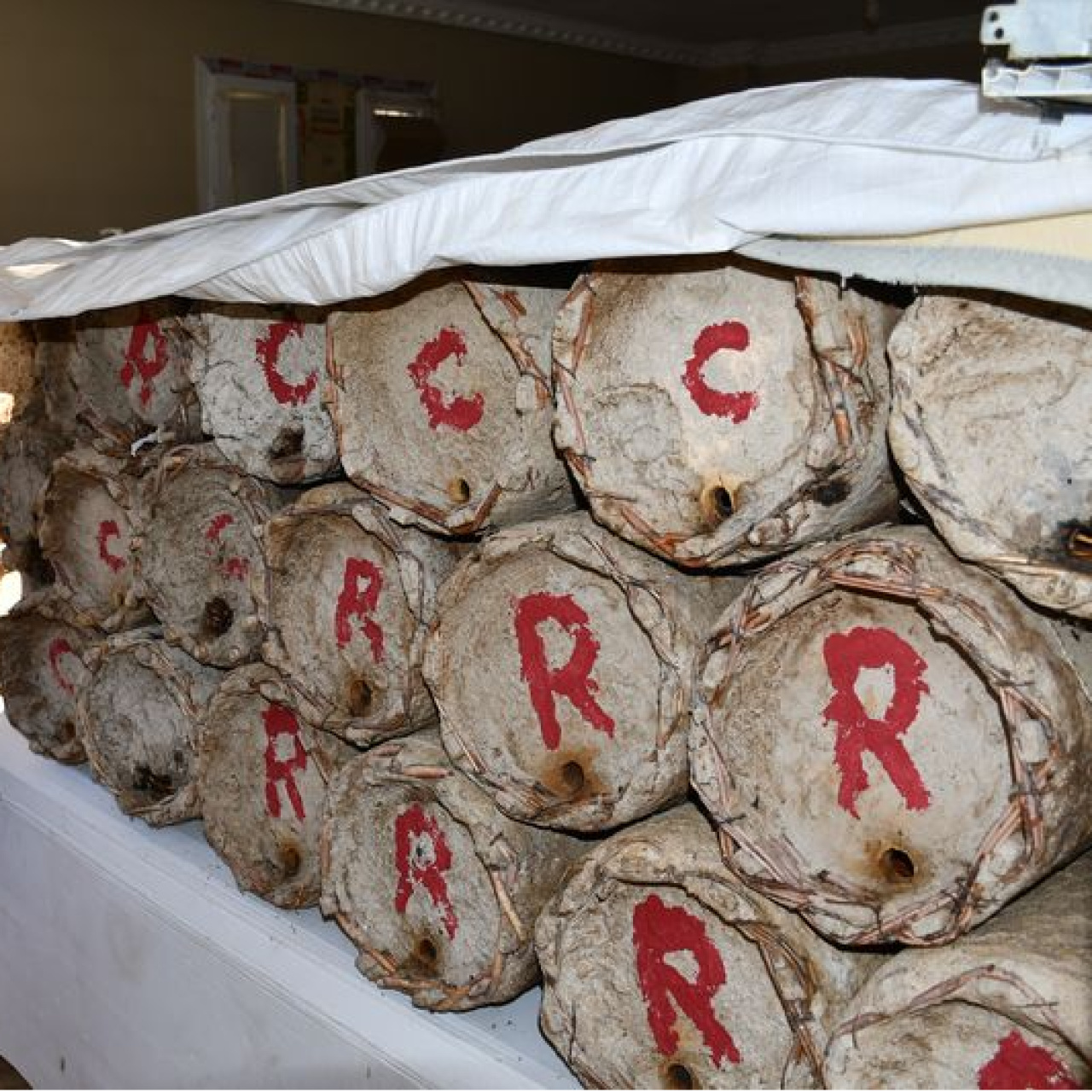 Misafir odasına yerleştirdi! "Kilosu 10 bin lira"