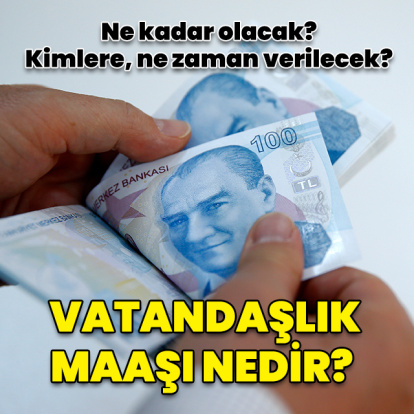 Vatandaşlık maaşı nedir?