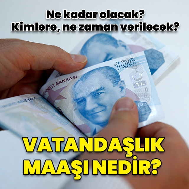 Vatandaşlık maaşı nedir?