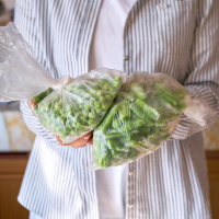 Taze fasulye buzluğa nasıl konur?