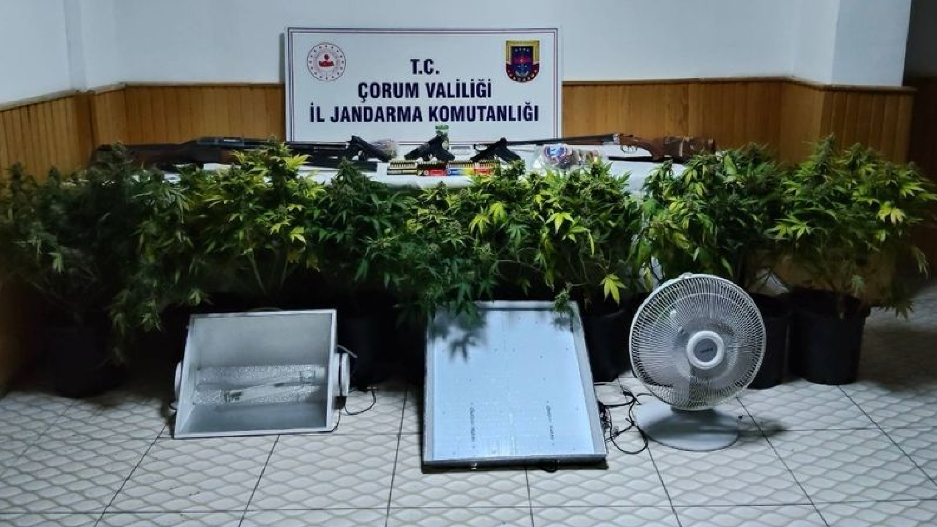 Çorum'da uyuşturucu bitki yetiştiren 4 kişi yakalandı