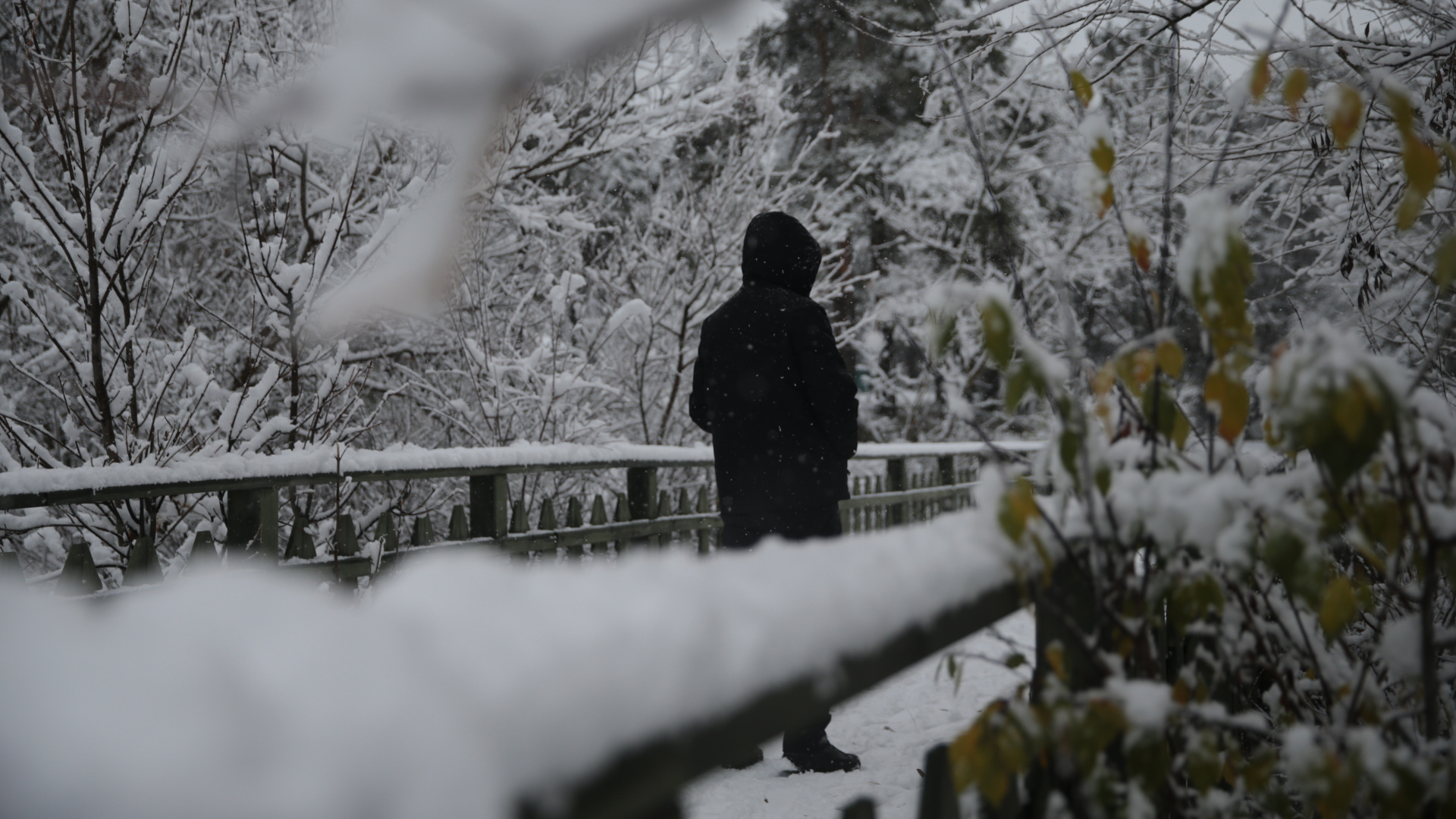 Son dakika: DONACAĞIZ! Meteoroloji'den sağanak yağmur ve kar yağışı uyarısı! Sıcaklıklar mevsim normali altında - Son dakika hava durumu | Son dakika haberleri