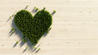 Yeşil kalp anlamı nedir?