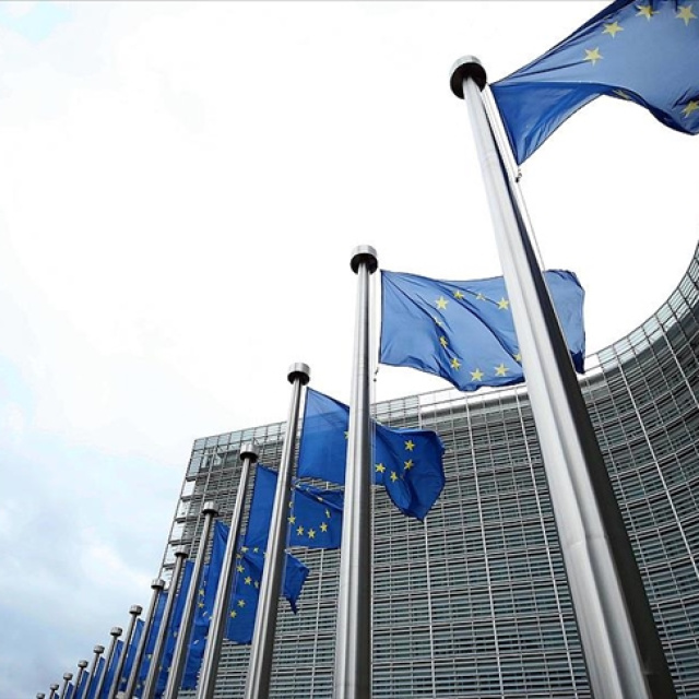 AB'nin doğu kanadındaki ülkeler Finlandiya'da toplandı