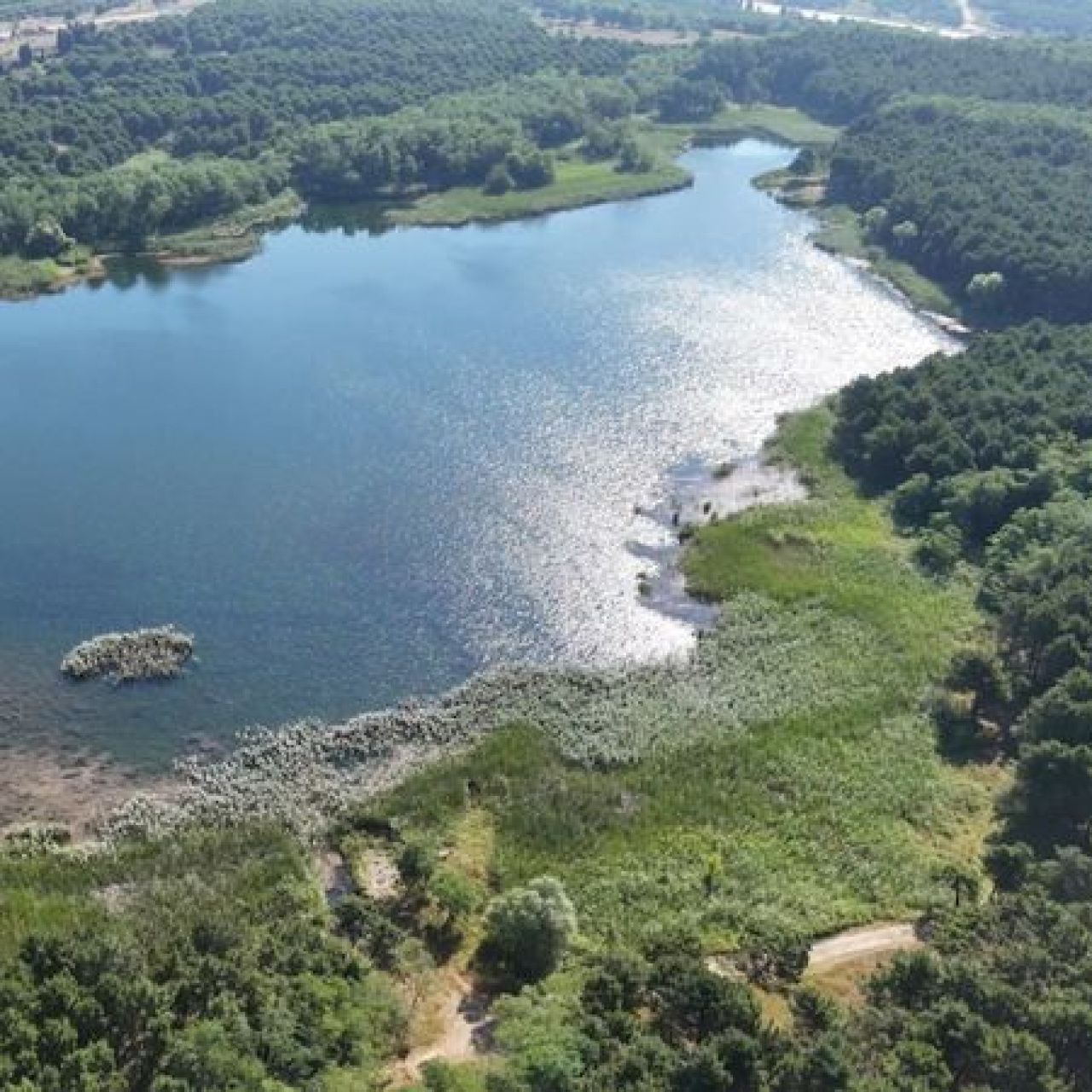 İBB'den Arnavutköy'deki Mavi Gölle ilgili açıklama