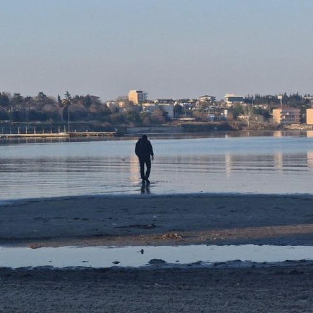 Tekirdağ'da tedirgin eden görüntü