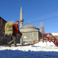Yağış yok; buzlanma, don ve sis var