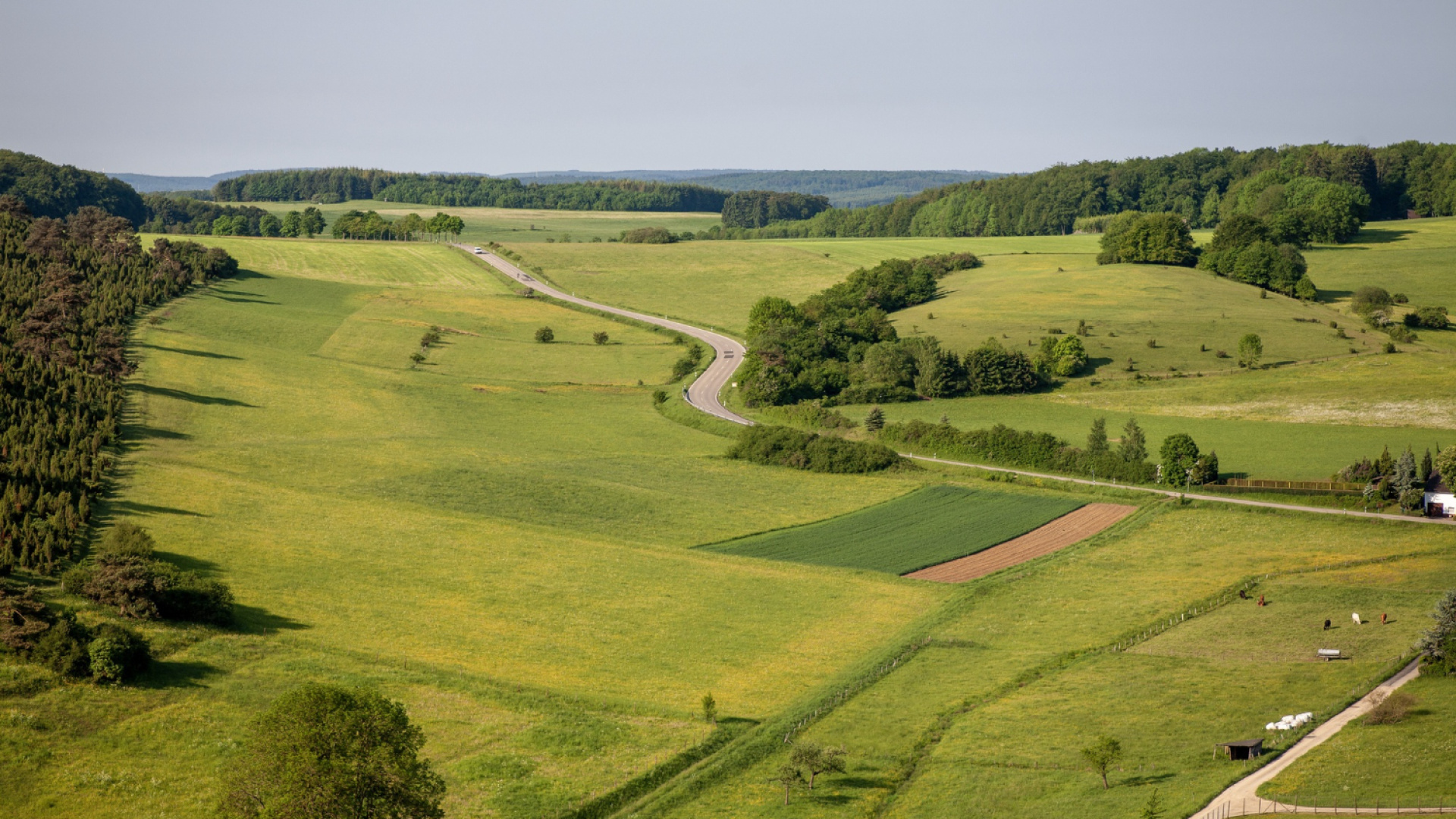 TOKİ 37 ilde 252 arsa satışı: 252 arsa için belirlenen ödeme planı nasıl, satış tarihi belli mi, vade ve peşin ödeme seçenekleri neler?