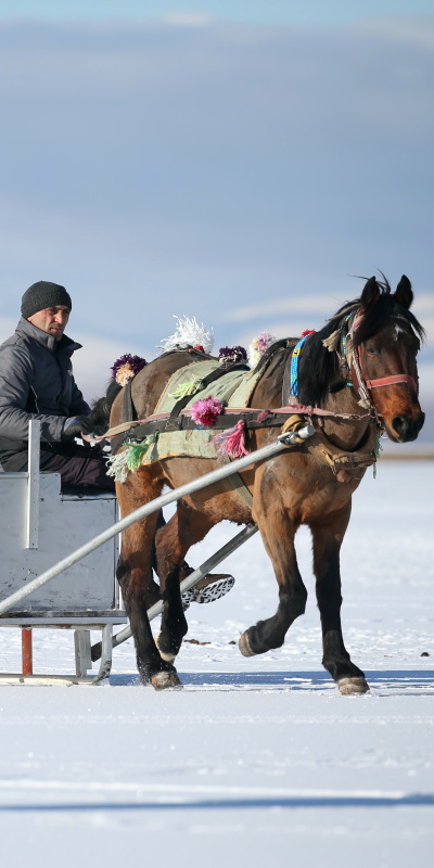 Çıldır Gölü dondu, atlı kızak heyecanı başladı