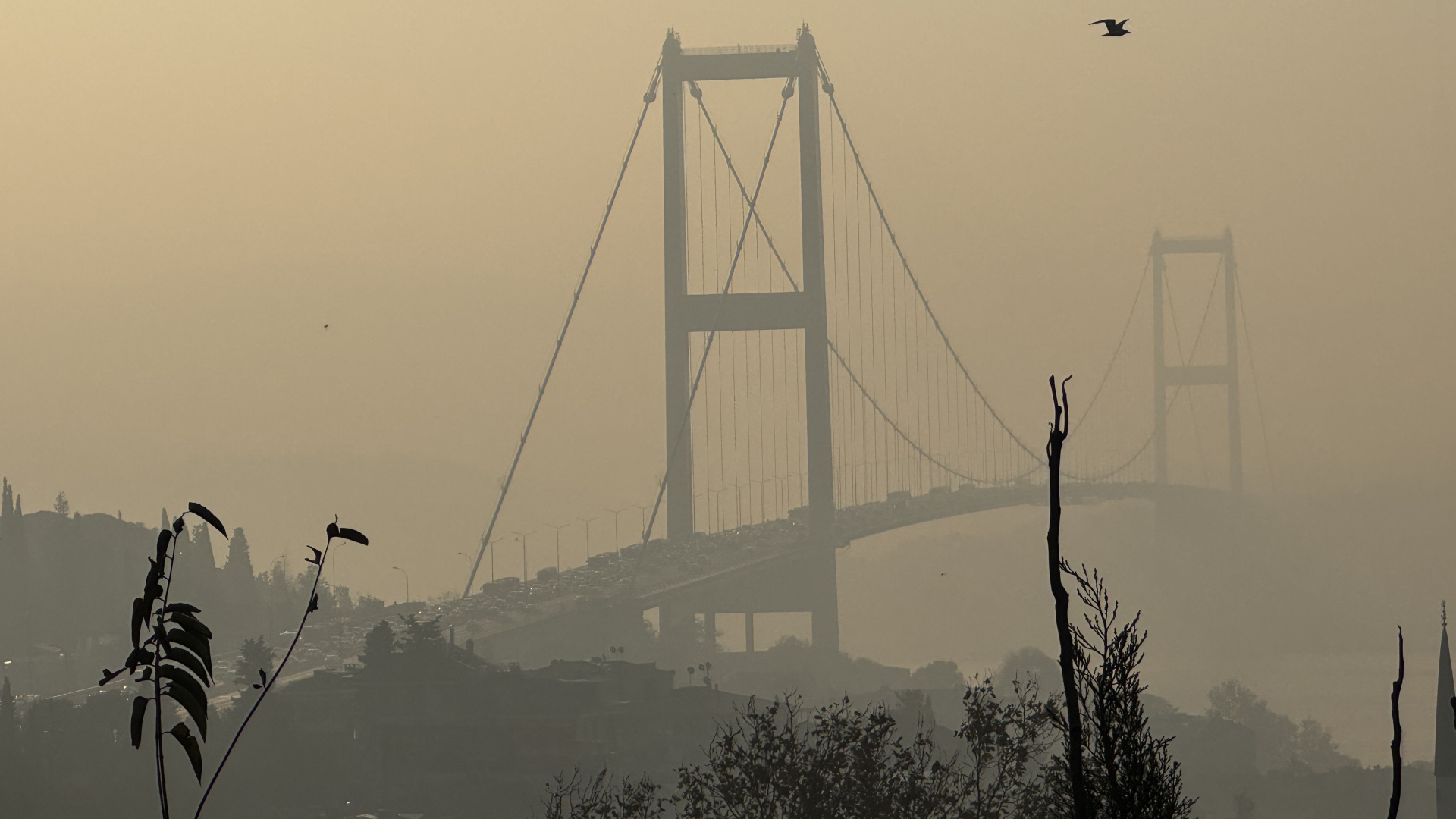 Marmara'da Kasım Yağışları Yüzde 18 Azaldı: Kuraklık Alarmı!