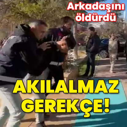 "Ailevi sorunlarıma kayıtsız kaldı" cinayeti!