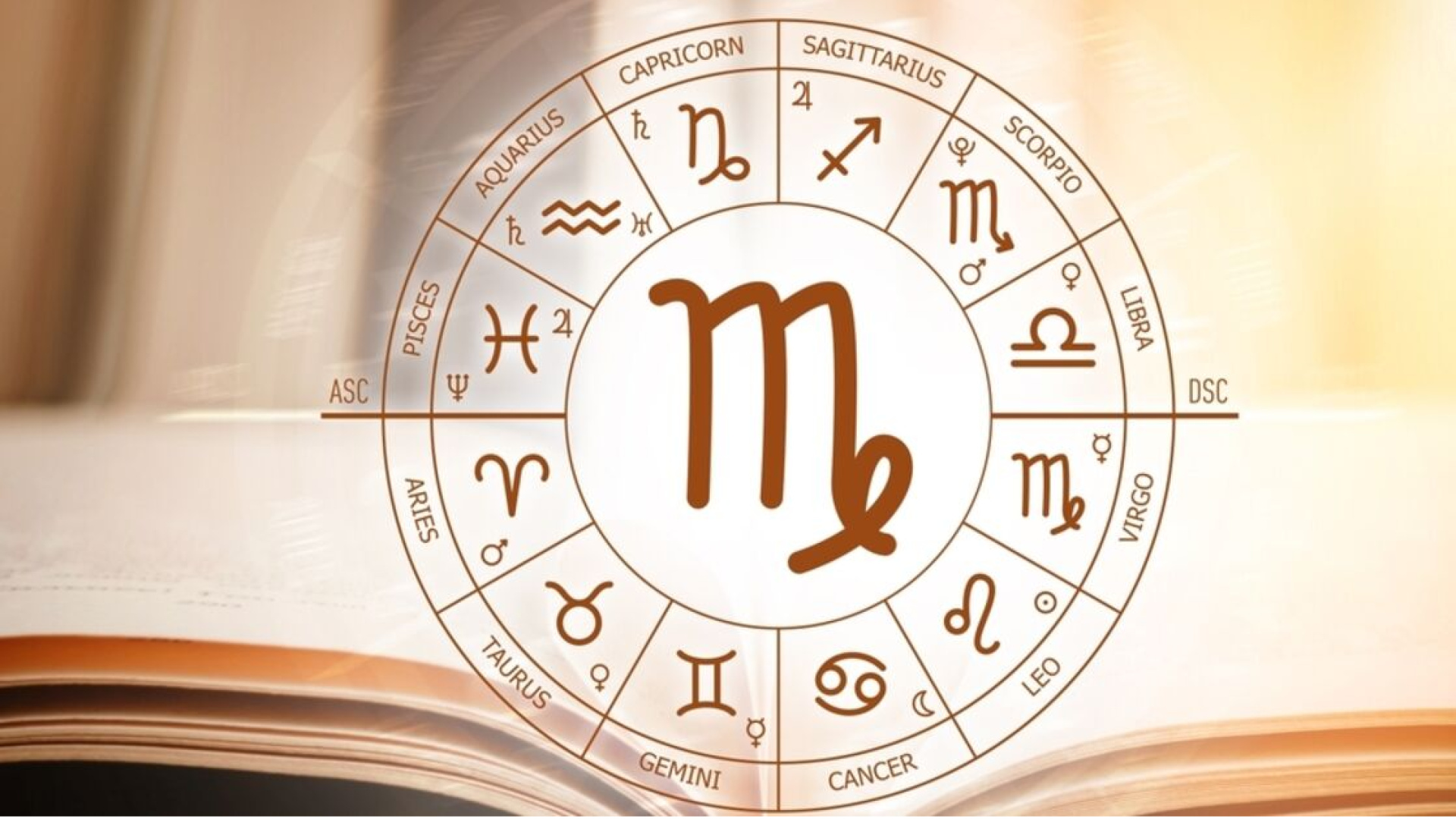 Başak Burcu Özellikleri: Başak Burcu Erkeği, Kadını, Yükseleni ve Özellikleri Nedir?