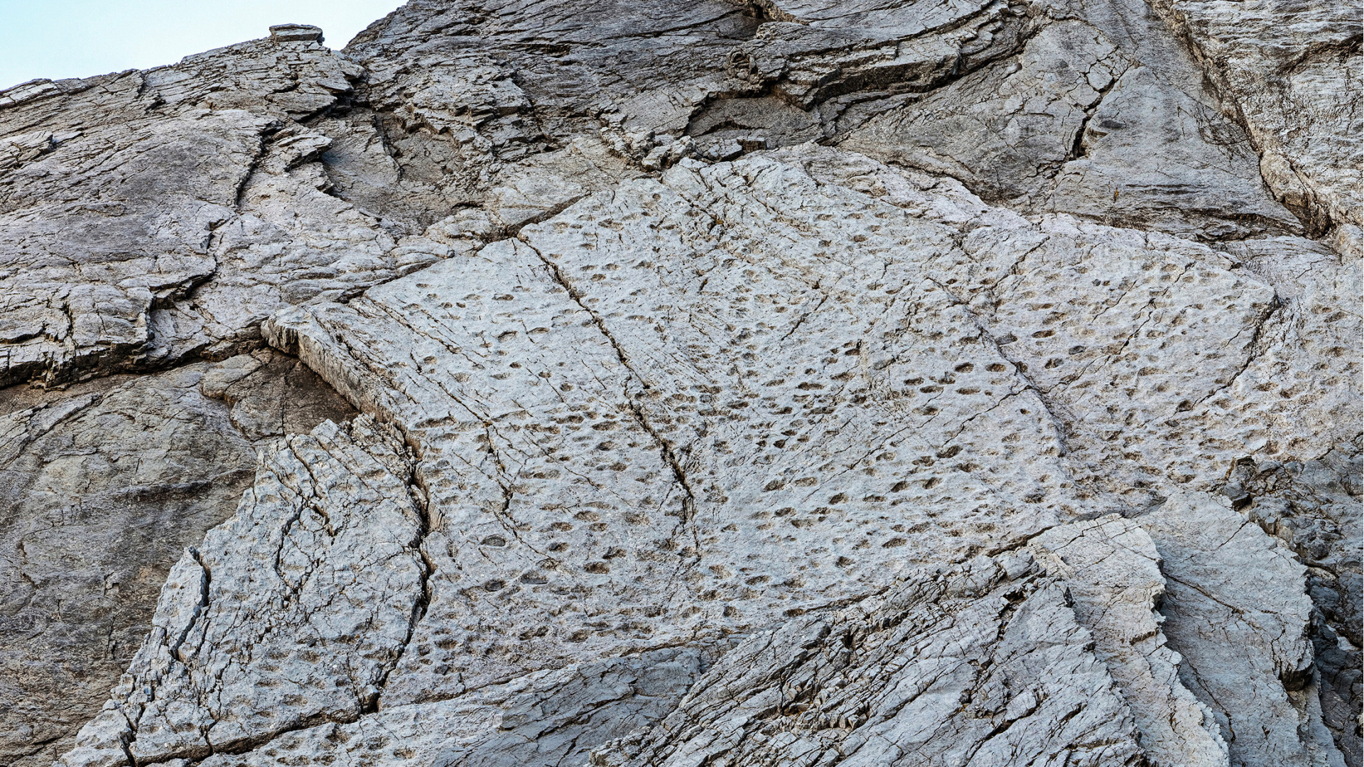 200 milyon yıllık, binlerce ayak izi! İlk kez paylaşıldı