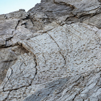 200 milyon yıllık, binlerce ayak izi! İlk kez paylaşıldı