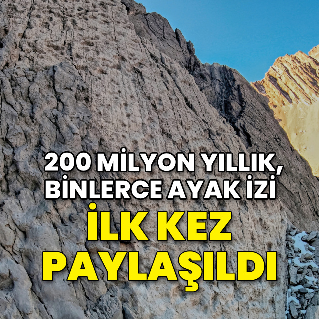200 milyon yıllık, binlerce ayak izi! İlk kez paylaşıldı