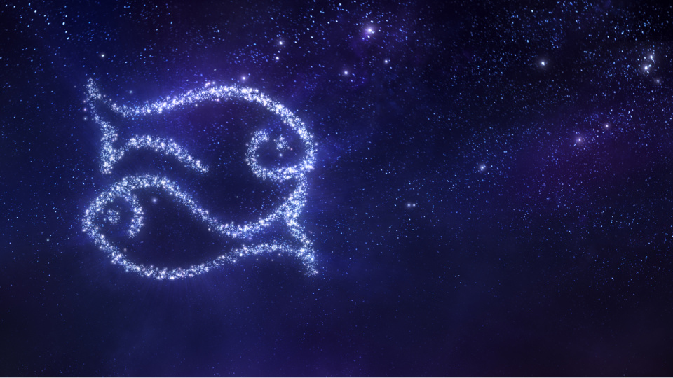 Balık Burcu Özellikleri