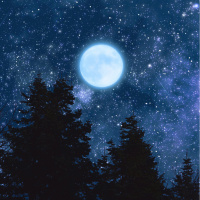 2026 yılı burç yorumları ve yılın en şanslı burçları!