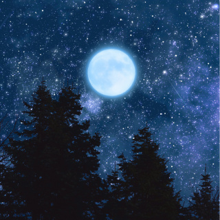 2026 yılı burç yorumları ve yılın en şanslı burçları!