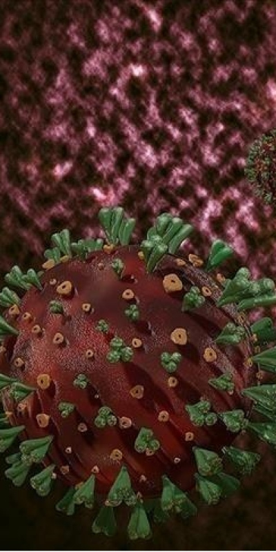 DSÖ'den mutasyona uğrayan H3N2 virüsü uyarısı!