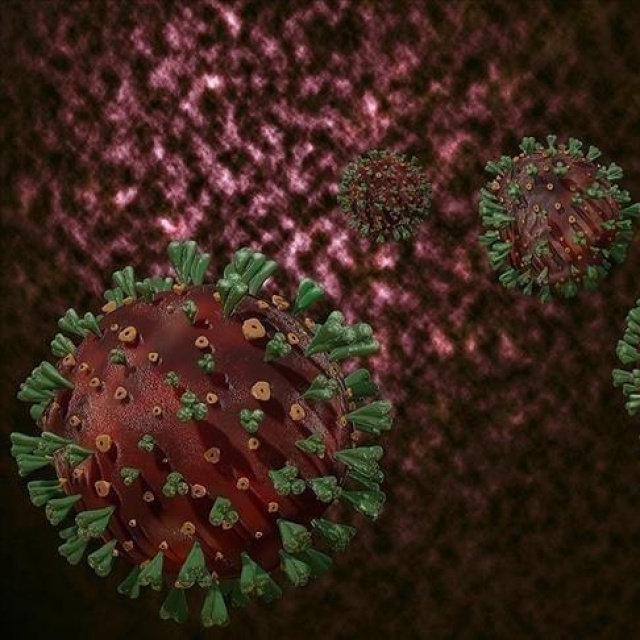 DSÖ'den mutasyona uğrayan H3N2 virüsü uyarısı!