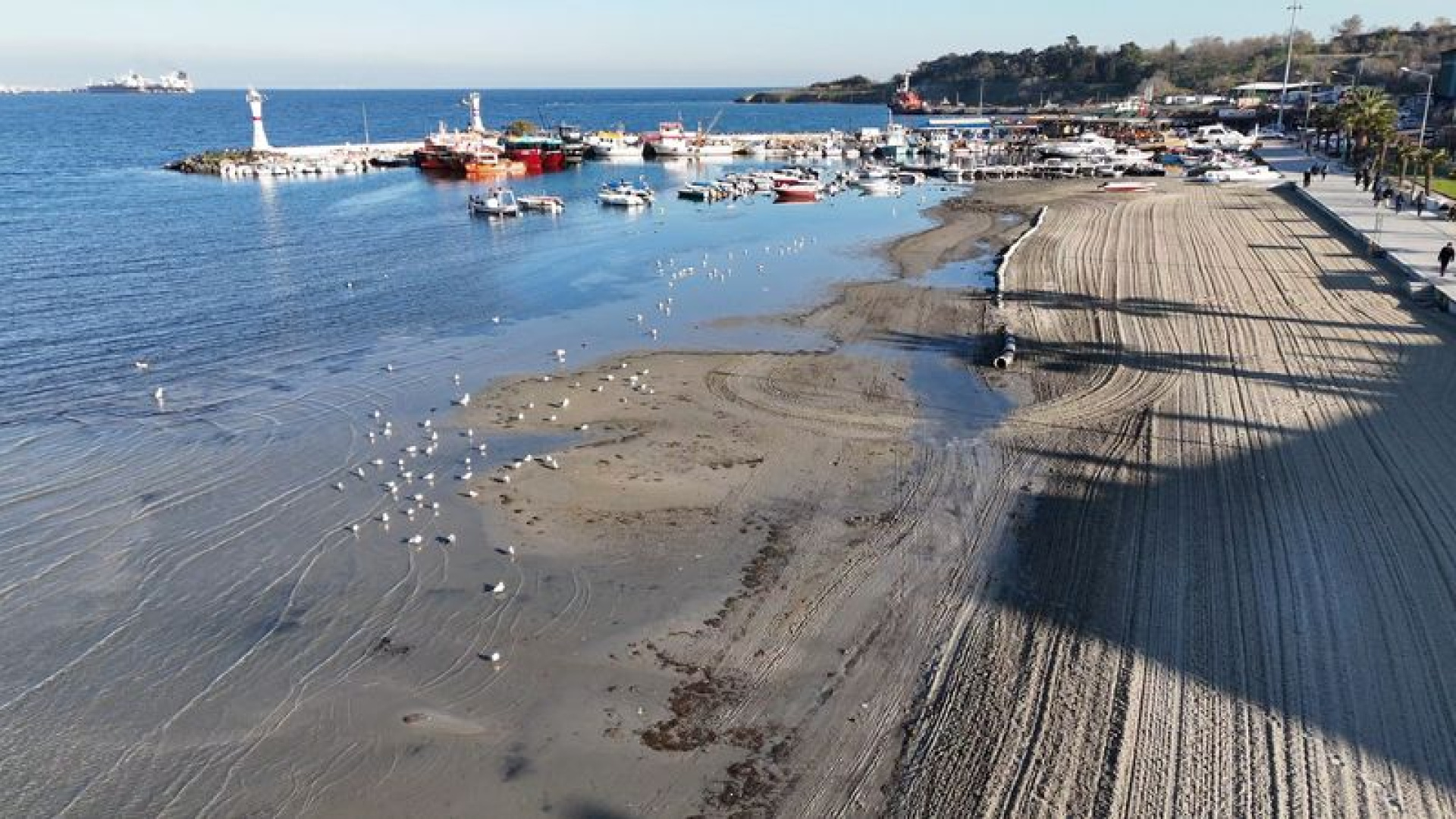 Son dakika: Tekirdağ'da deniz 20 metre çekildi | Son dakika haberleri