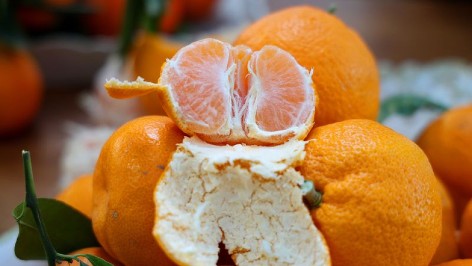 Mandalina ihracatı rekor kırdı