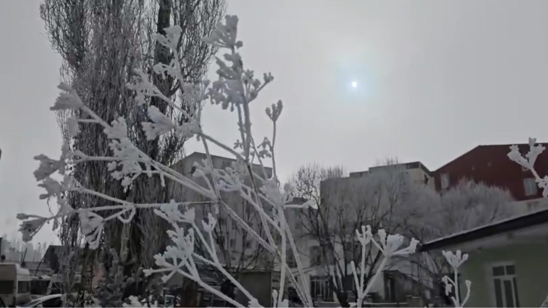 Son dakika: Ardahan'da dondurucu soğuklar etkili oldu! | Son dakika haberleri