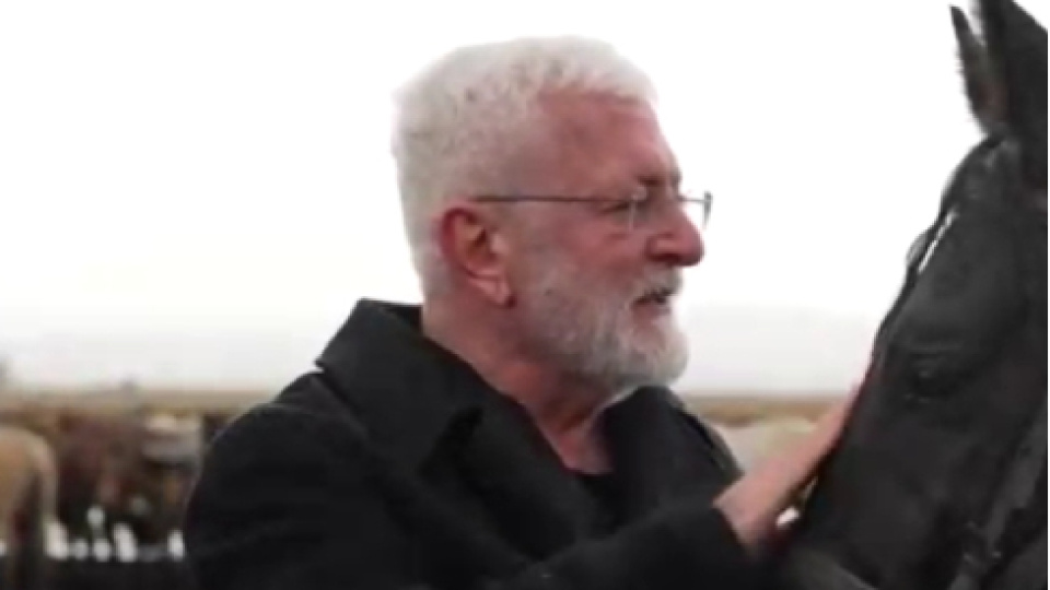 Onur Akın'a at çarptı