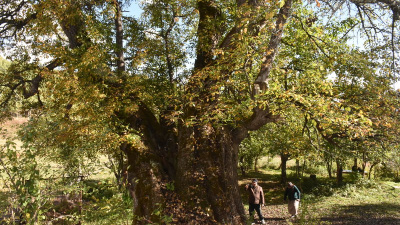 Türkiye'de doğal mirasları! 10 bin 503'ü koruma altında