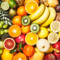 Kış aylarında doğal koruma