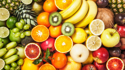 Kış aylarında doğal koruma