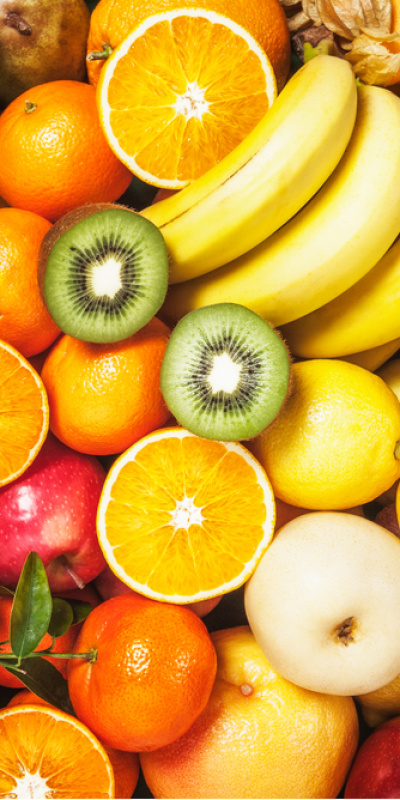 Kış aylarında doğal koruma