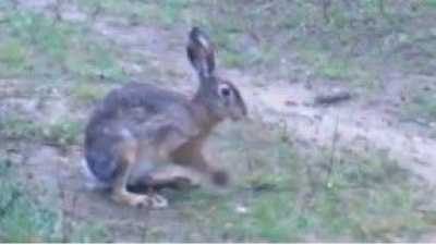 'En sempatik benim' yarışı