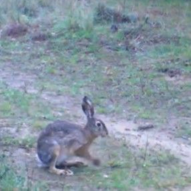 'En sempatik benim' yarışı