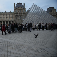 Avrupa'da Napolyon avı