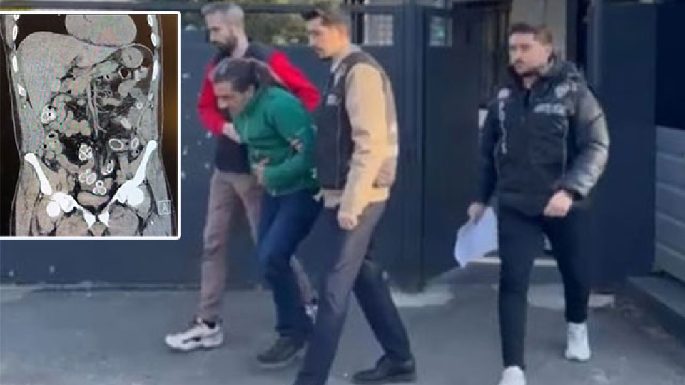 Fas'tan Beşiktaş'a midesinde getirdi! Tam 3 bin kilometre!