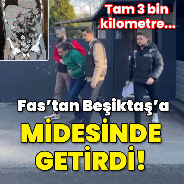 Fas’tan Beşiktaş'a midesinde getirdi! Tam 3 bin kilometre!