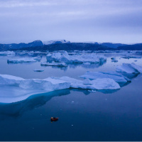 Trump temsilci atadı, Danimarka tepki gösterdi