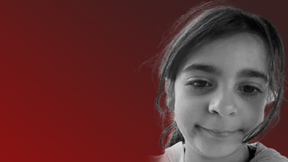 Narin davasında karar için gözler Yargıtay'da