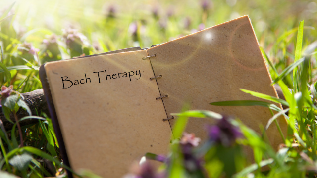 Bach Çiçekleri terapisi nedir?