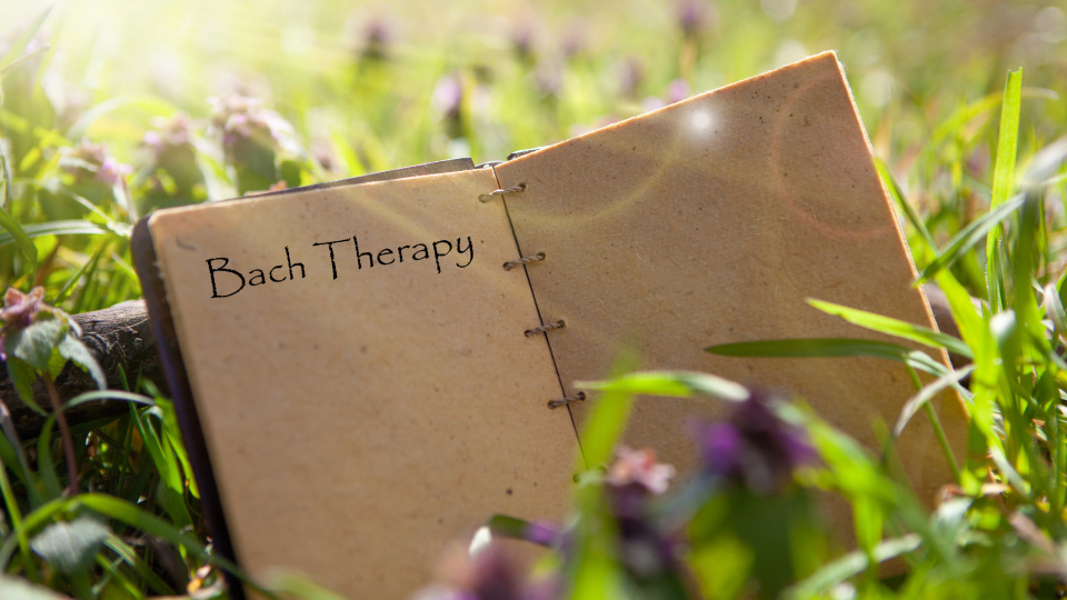 Bach Çiçekleri terapisi nedir?