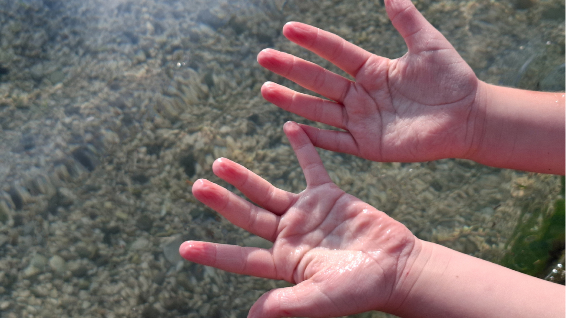 Suya girince neden tüm vücudumuz değil de sadece parmaklarımız buruşur?