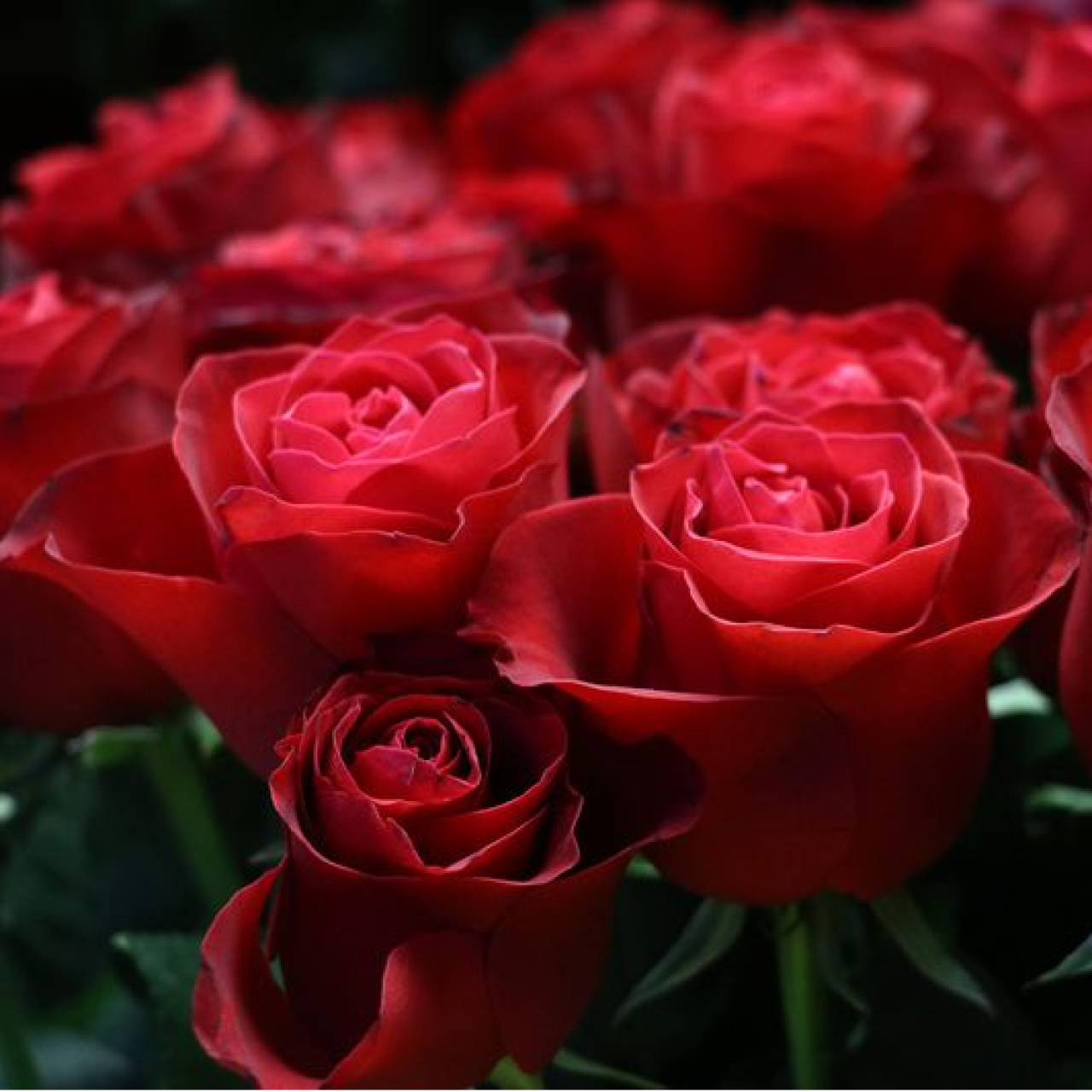 Eşini sınamak için çiçek gönderdi! Yargıtay karar verdi!