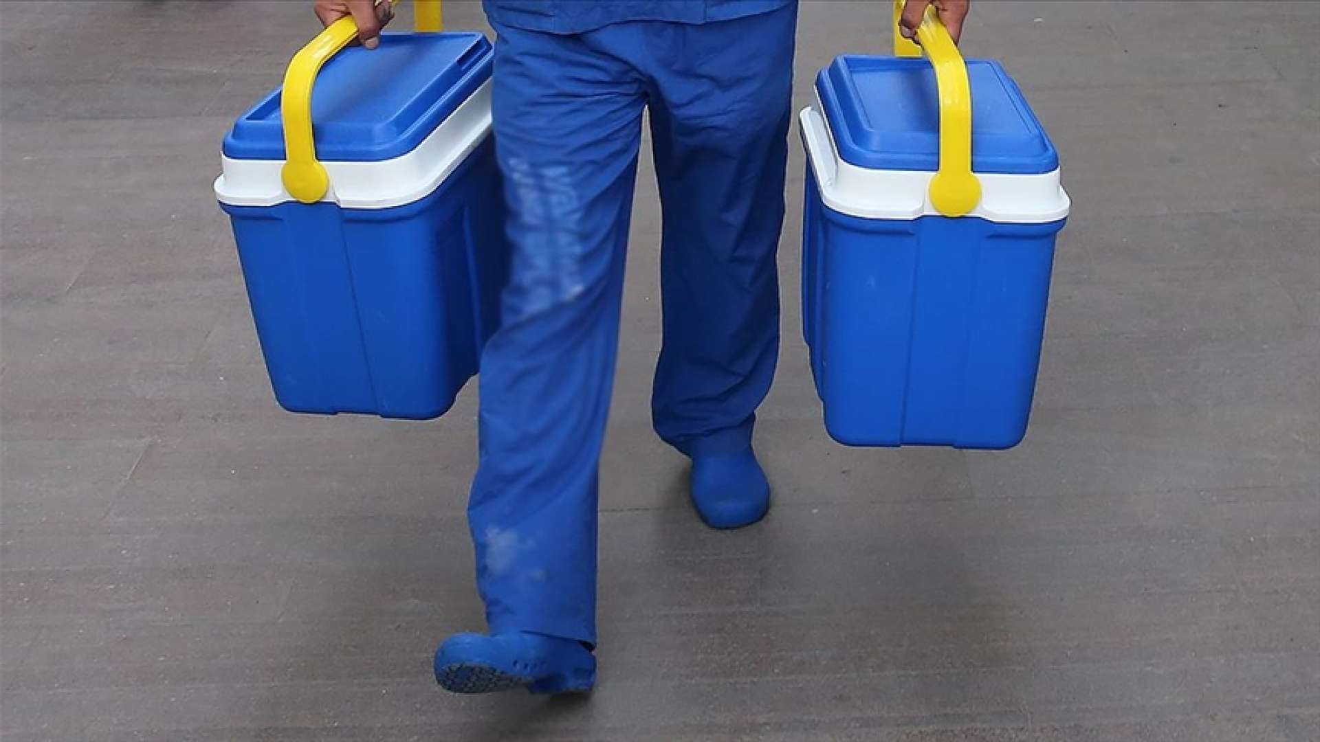 e-Nabız üzerinden iki ayda 45 bin kişi organ bağış…