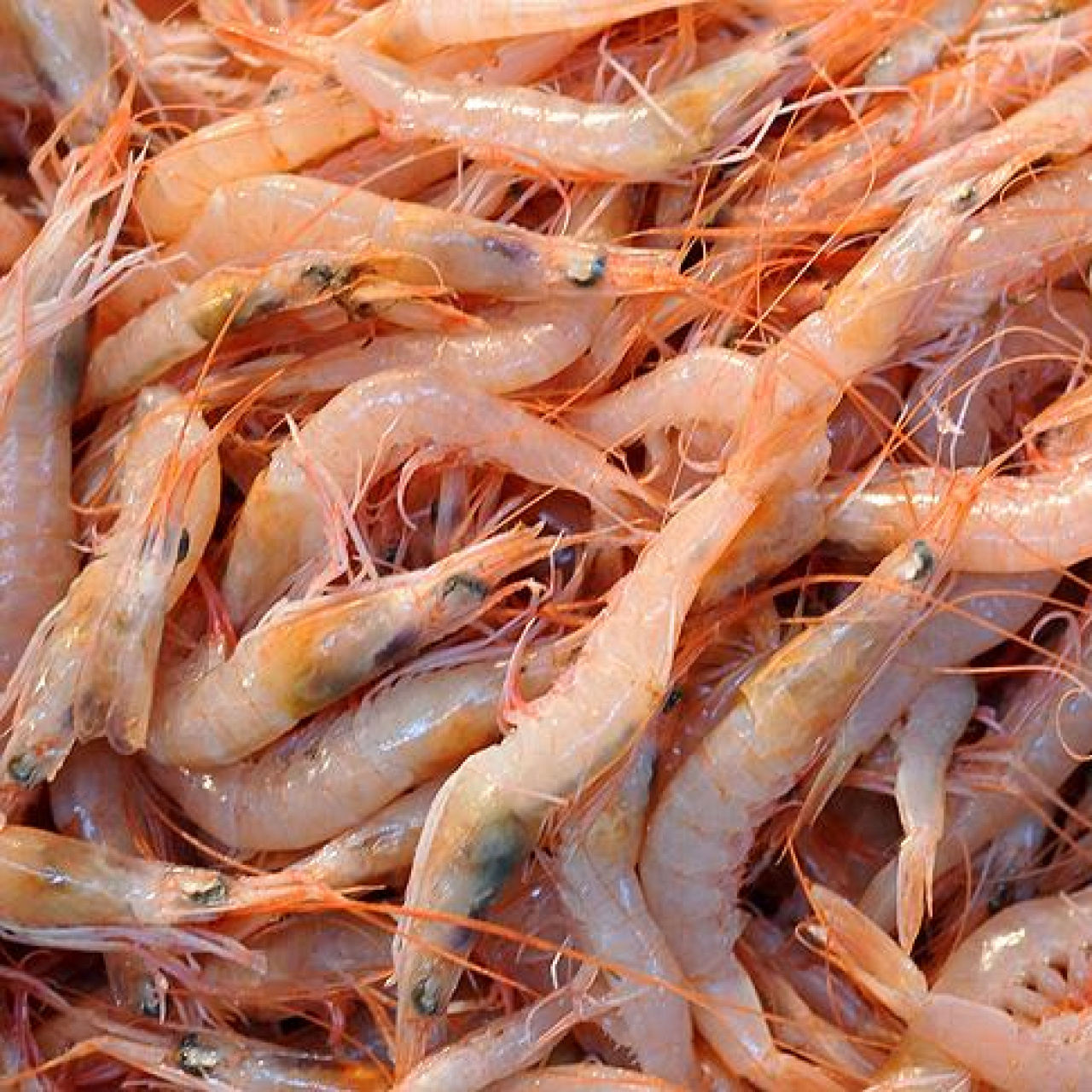 Karides nasıl pişirilir?